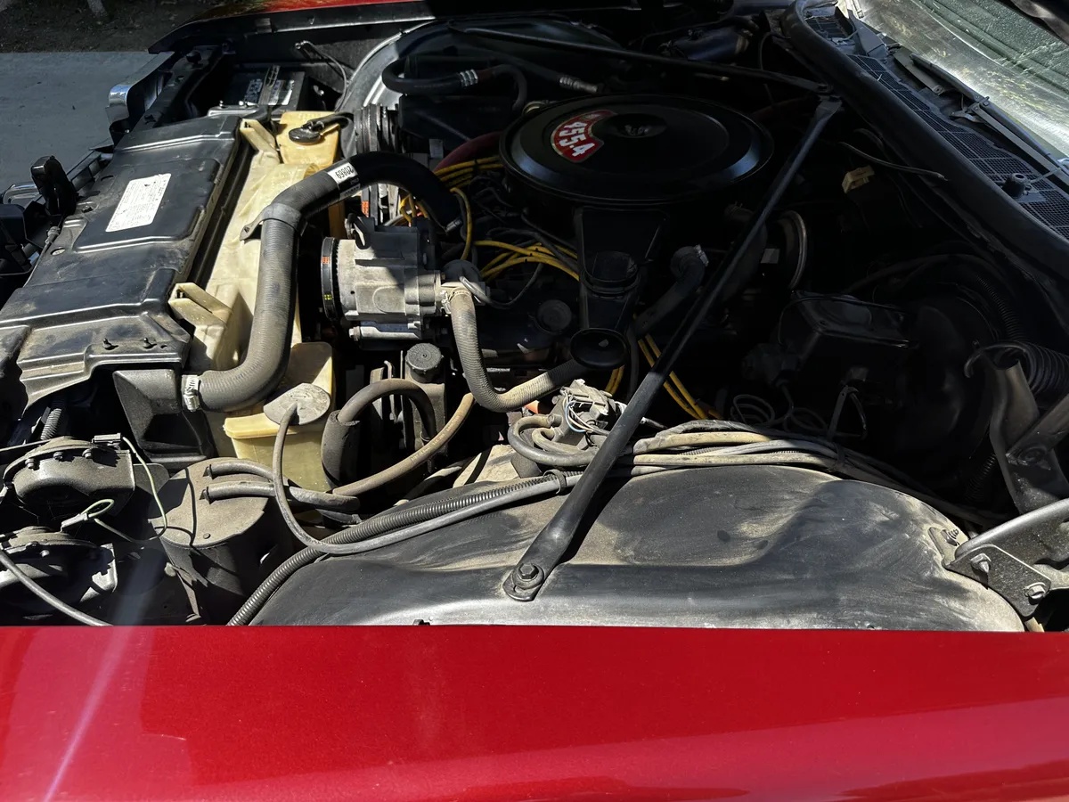 Buick-Electra-225-1973-Red-White-5