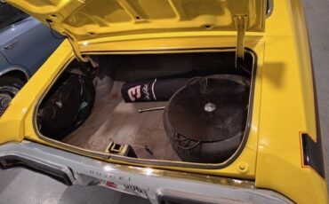 Buick-GSX-Clone-1970-Coupe-9