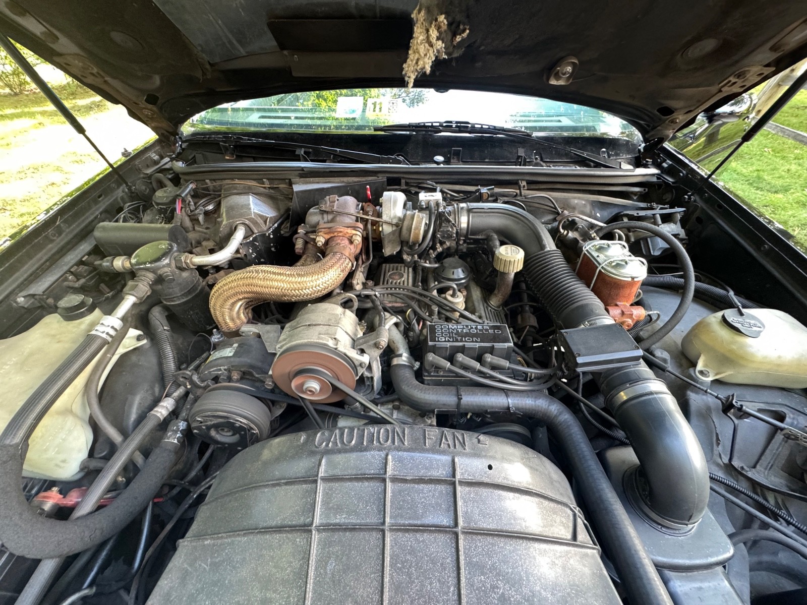 Buick-Grand-National-1984-21