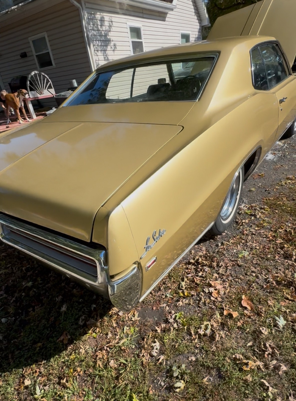 Buick-Le-Sabre-5.7-1969-8