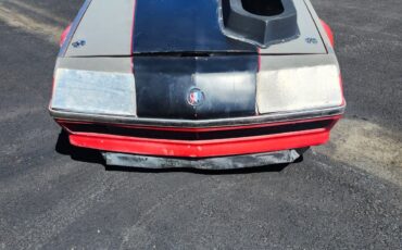 Buick-Other-1980-3