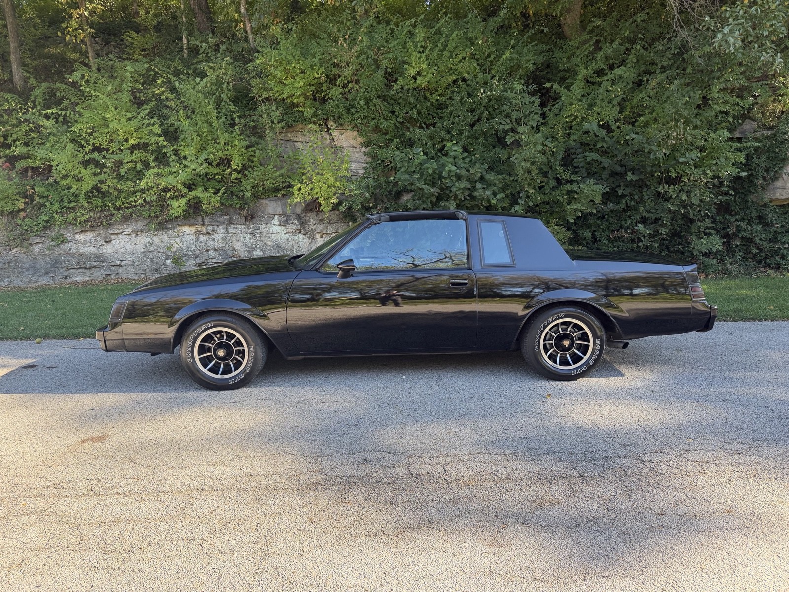 Buick-Regal-1984-Coupe-2