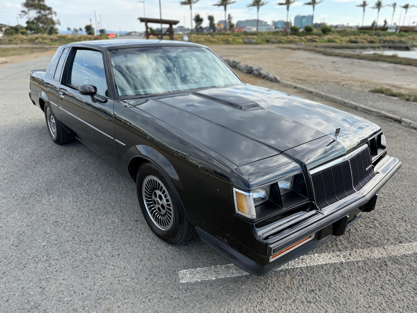 Buick-Regal-1985-13