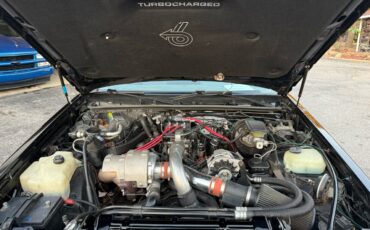 Buick-Regal-1986-American-Muscle-Car-19