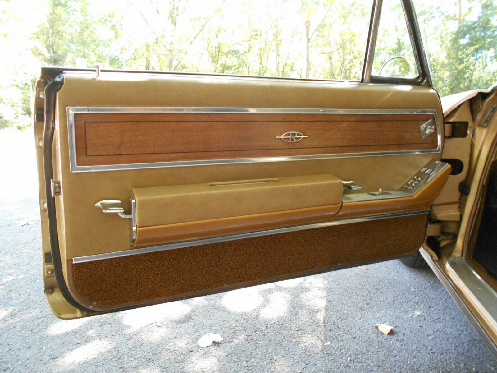 Buick-Riviera-1965-Coupe-5