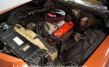 Buick-Riviera-1973-Burnt-Coral-Saddle-6