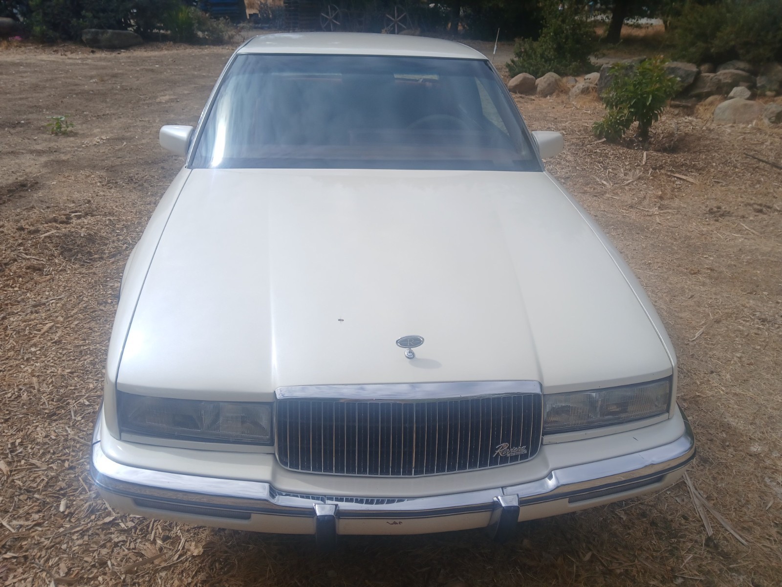 Buick-Riviera-1989-Coupe-4