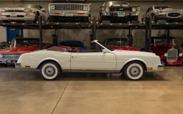 Buick-Riviera-5.0L-V8-Convertible-1983-2-Door-Convertible-2