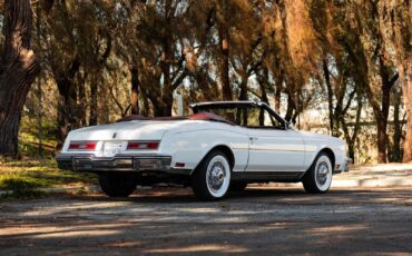 Buick-Riviera-5.0L-V8-Convertible-1983-2-Door-Convertible-24