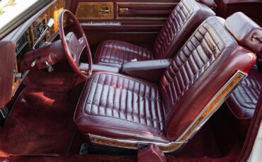 Buick-Riviera-5.0L-V8-Convertible-1983-2-Door-Convertible-31