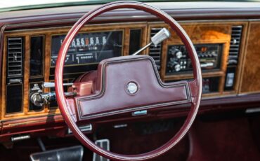 Buick-Riviera-5.0L-V8-Convertible-1983-2-Door-Convertible-36