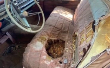 Buick-Roadmaster-1957-Pink-Salmon-12