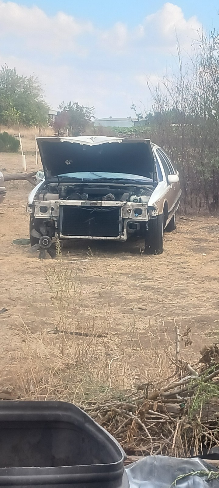 Buick-Roadmaster-1992-Wagon