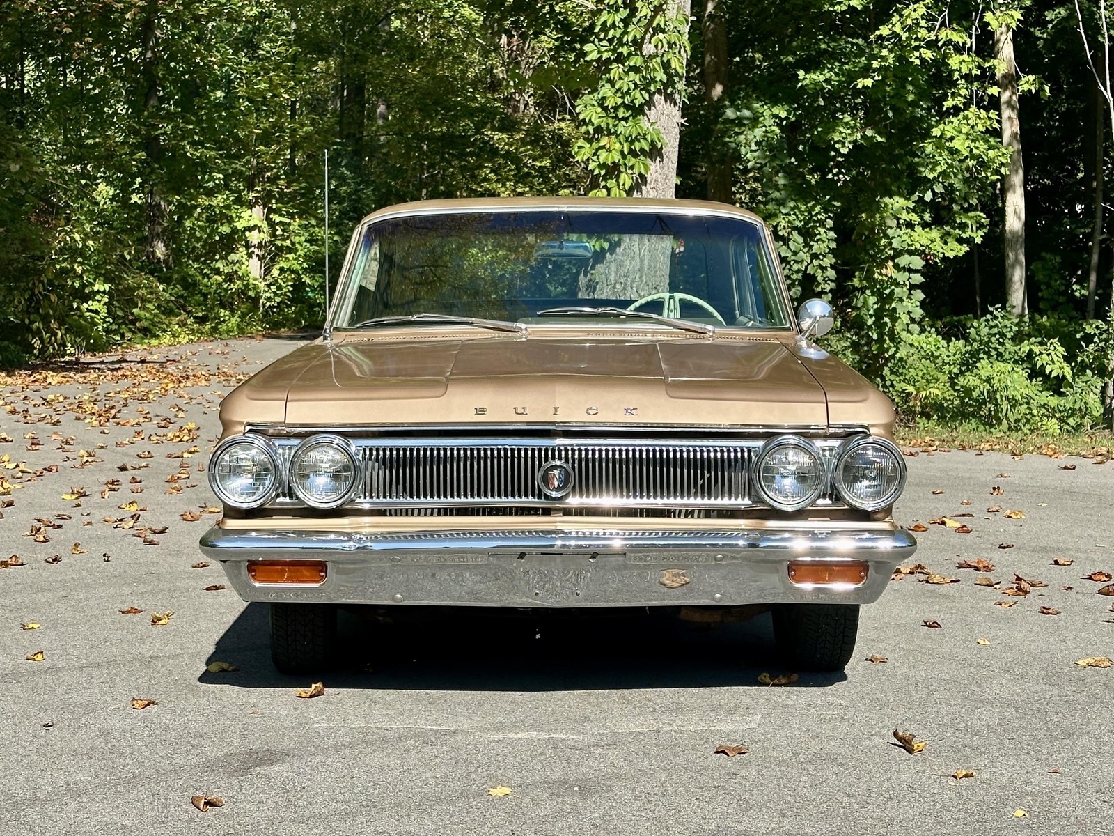 Buick-Skylark-1963-5