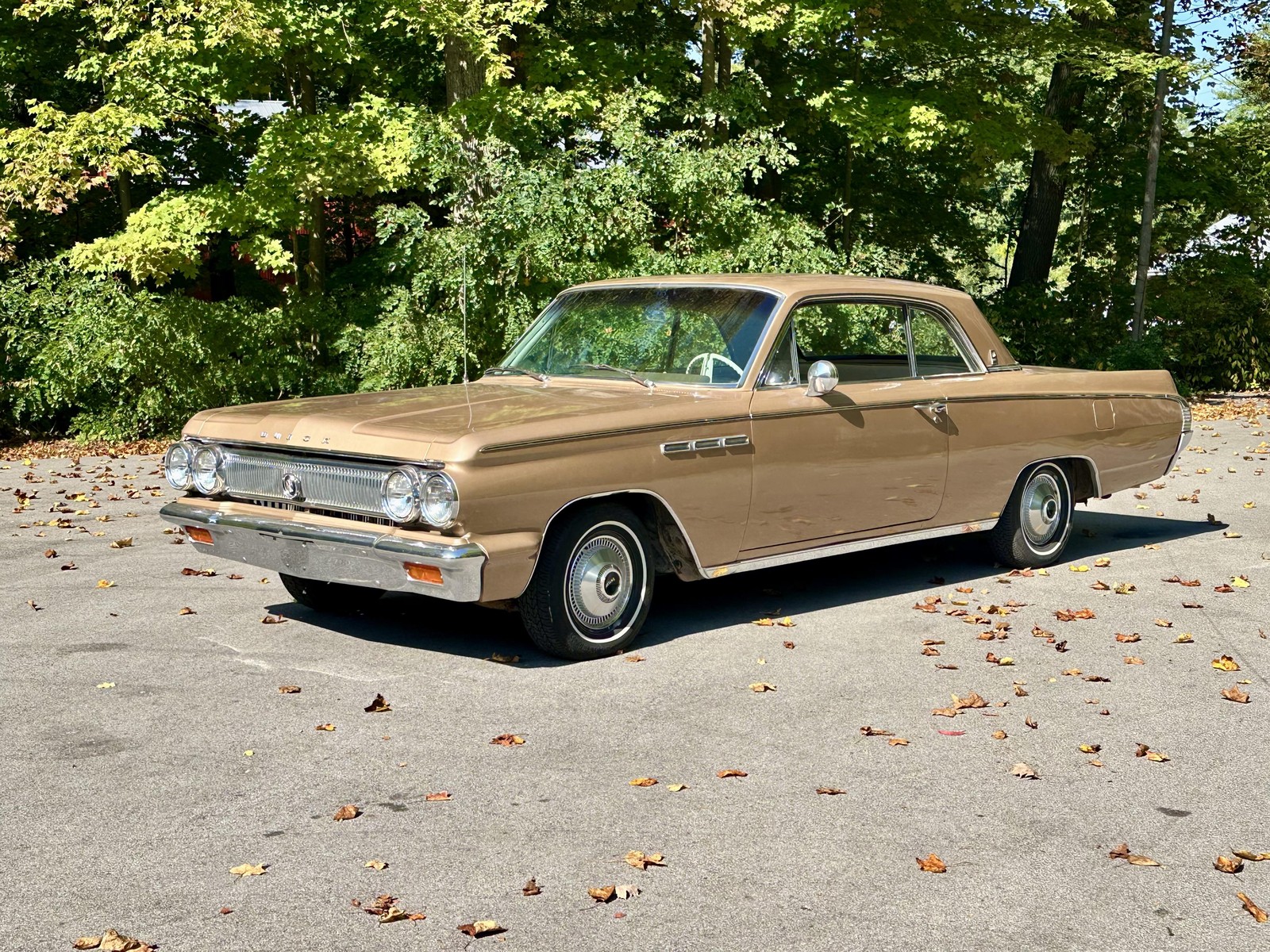 Buick-Skylark-1963-6
