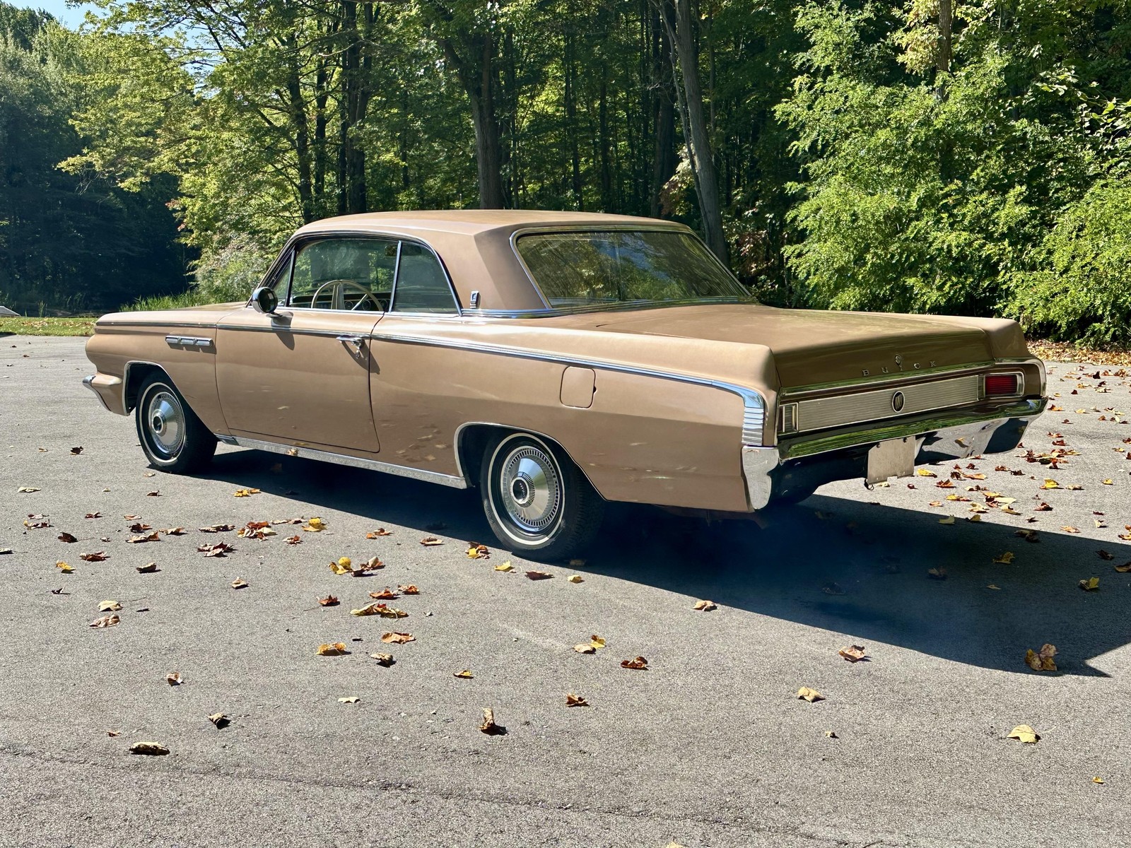 Buick-Skylark-1963-8