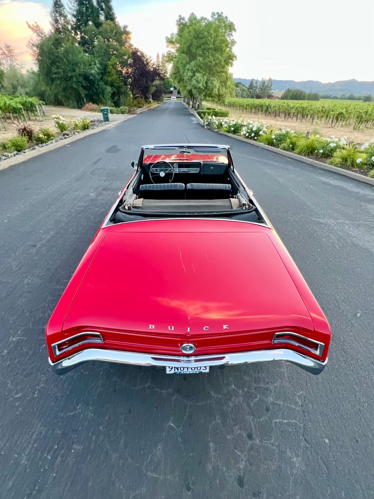 Buick-Special-1965-Convertible-17