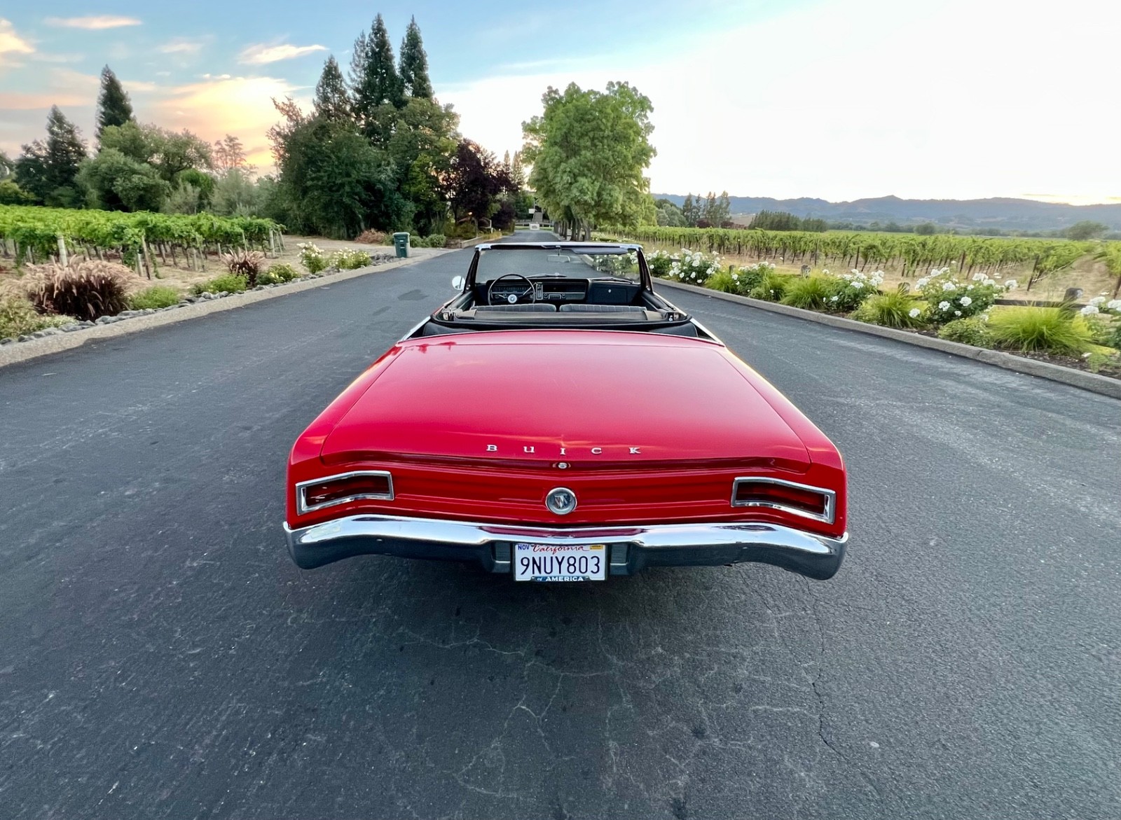 Buick-Special-1965-Convertible-8