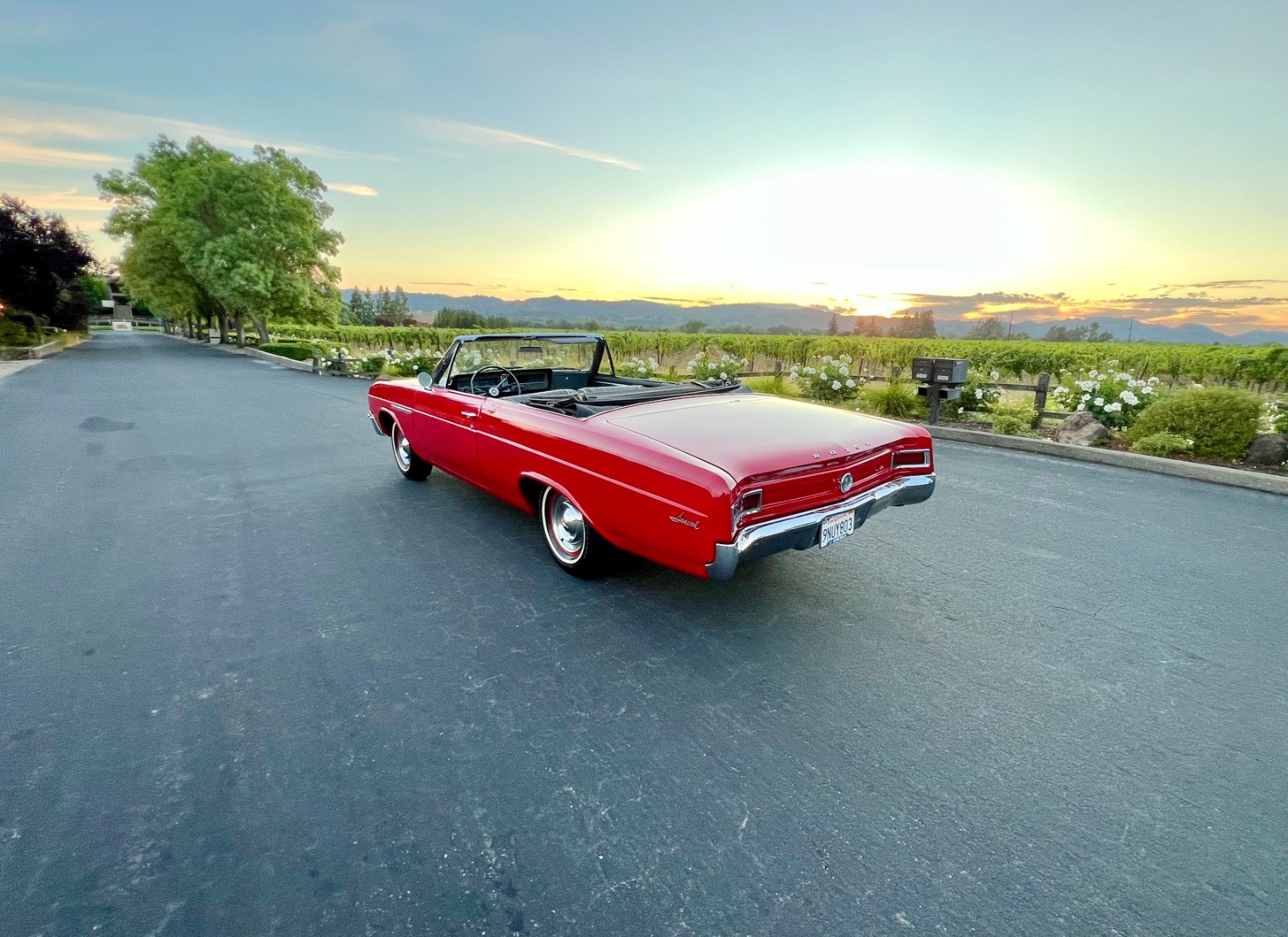 Buick-Special-1965-Convertible-9