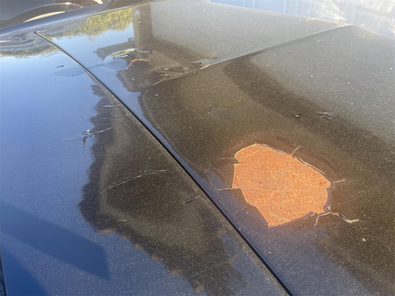 Buick-Wildcat-1965-Black-Red-16