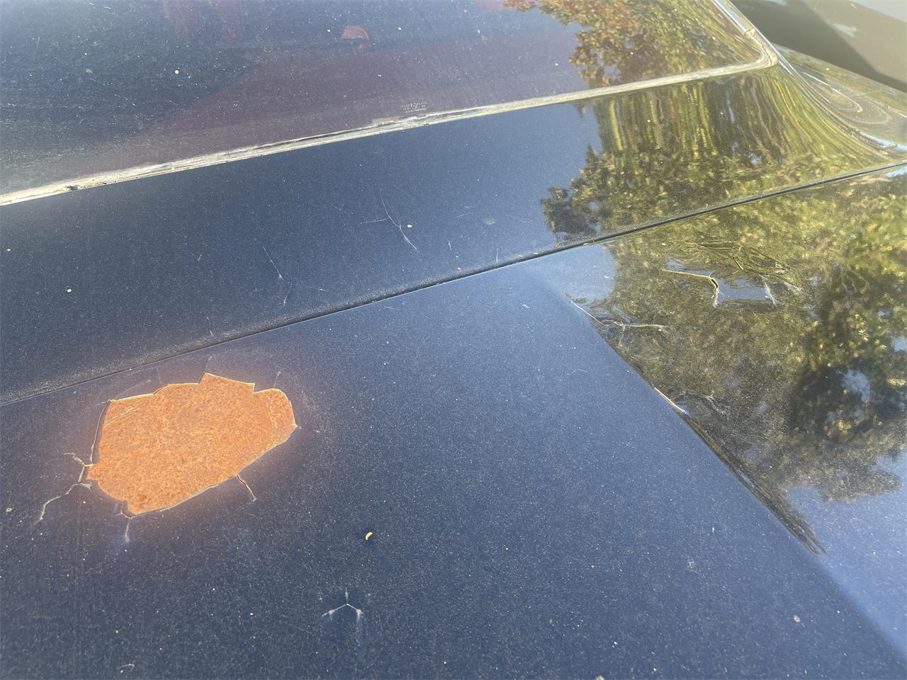 Buick-Wildcat-1965-Black-Red-31