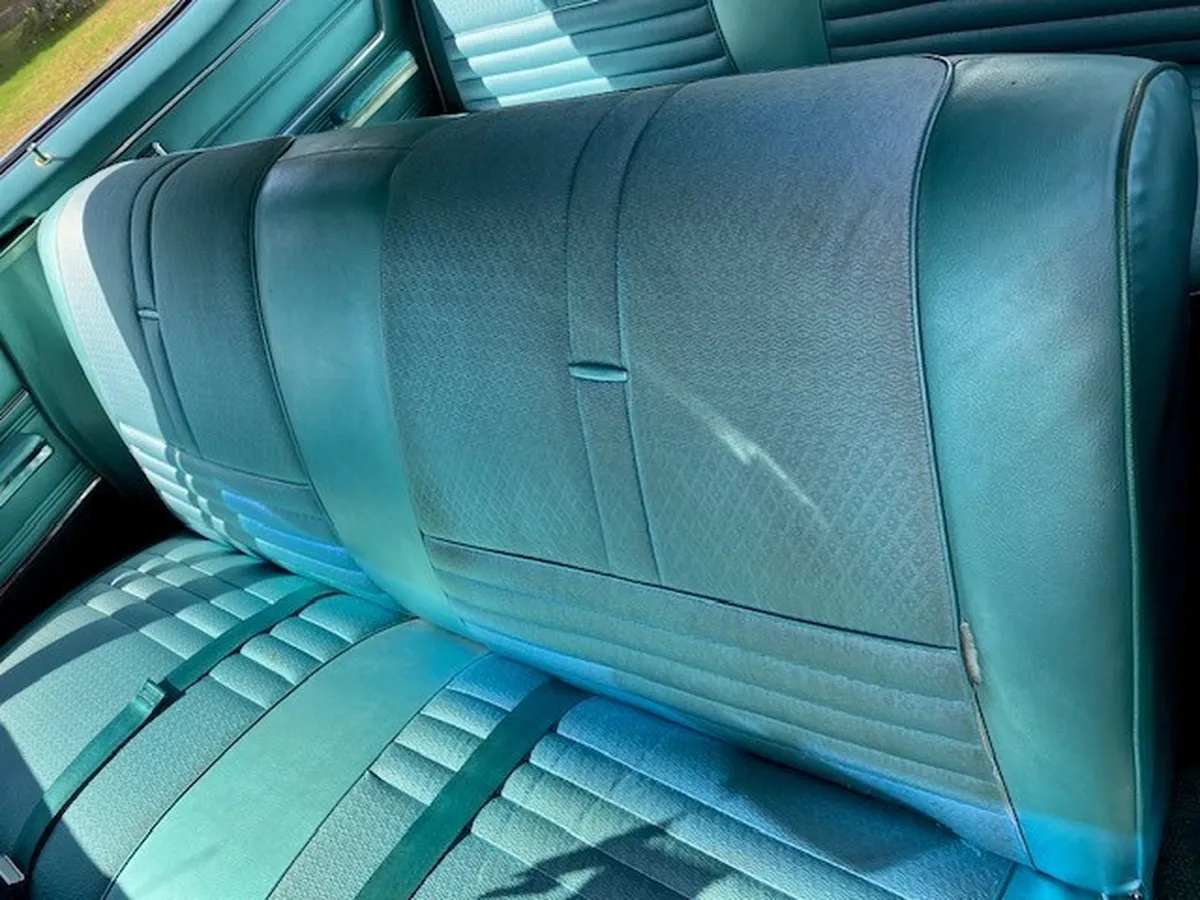 Buick-Wildcat-1966-Seafoam-Green-Metalic-Seafoam-Green-Metalic-18