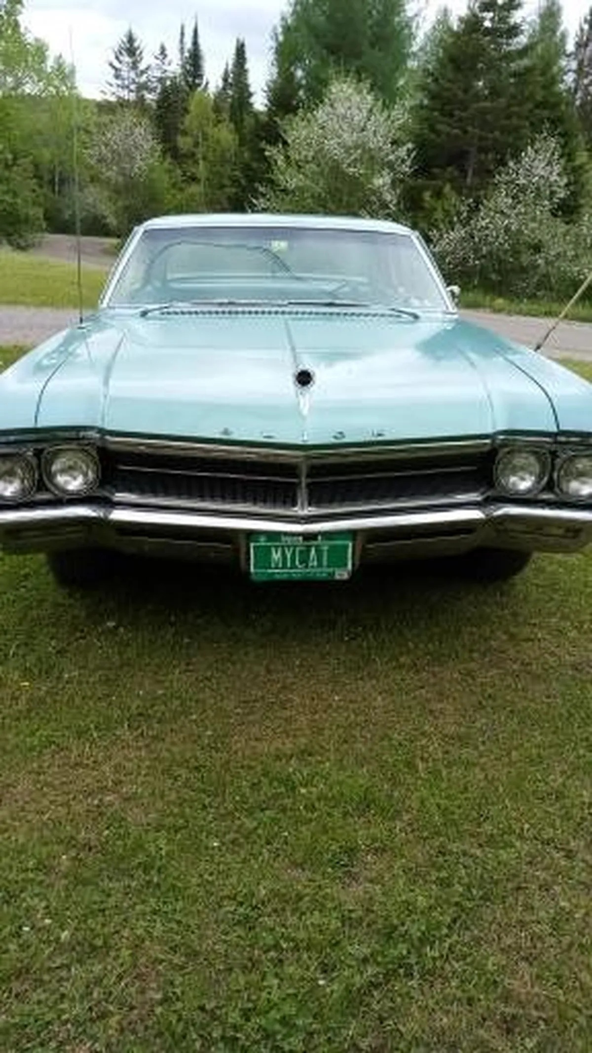 Buick-Wildcat-1966-Seafoam-Green-Metalic-Seafoam-Green-Metalic-3