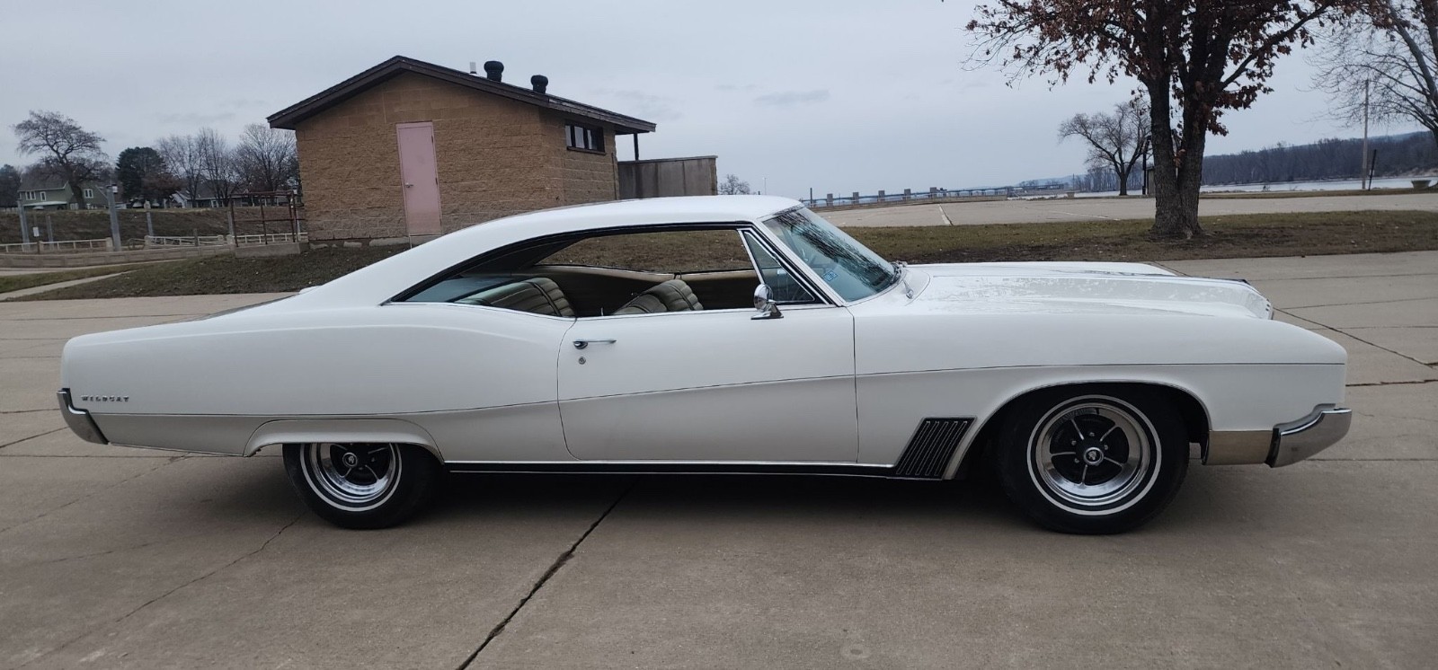 Buick-Wildcat-1967-Coupe-11
