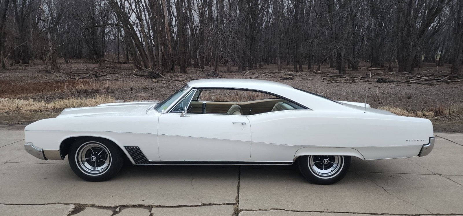 Buick-Wildcat-1967-Coupe-13