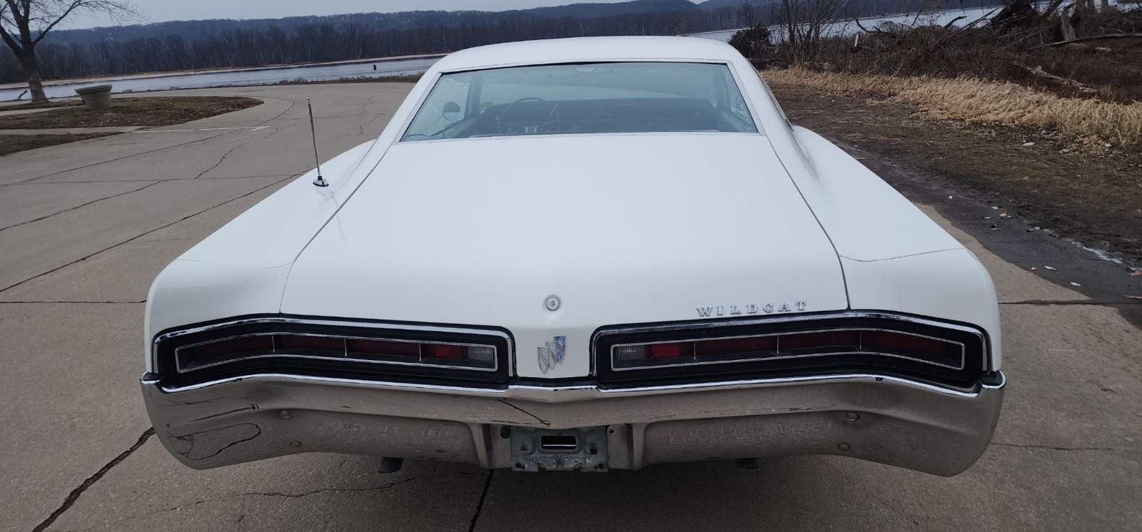 Buick-Wildcat-1967-Coupe-6