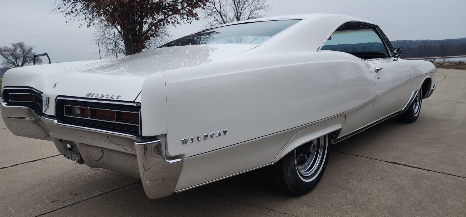 Buick-Wildcat-1967-Coupe-7