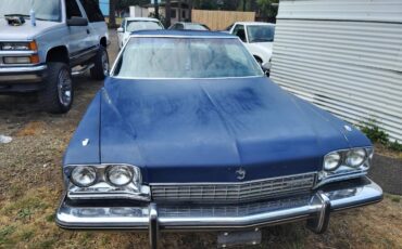 Buick-electra-1973-blue-1