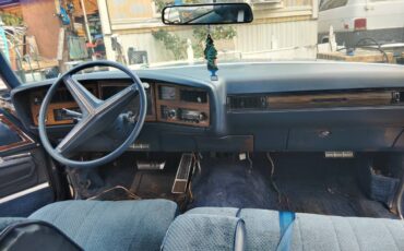 Buick-electra-1973-blue-2