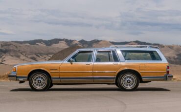 Buick-electra-1990-10