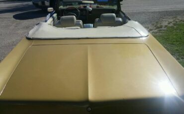 Buick-electra-225-1970-yellow-4