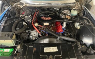 Buick-electra-225-1972-blue-5