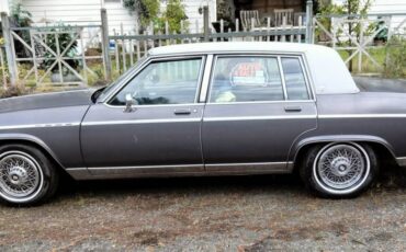 Buick-electra-park-avenue-1982-grey-2