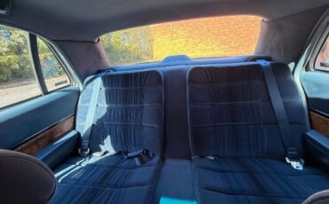 Buick-lesabre-1993-custom-39