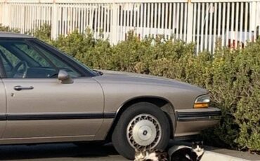Buick-lesabre-1994-2