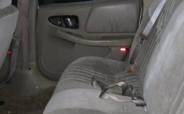 Buick-regal-1996-brown-4
