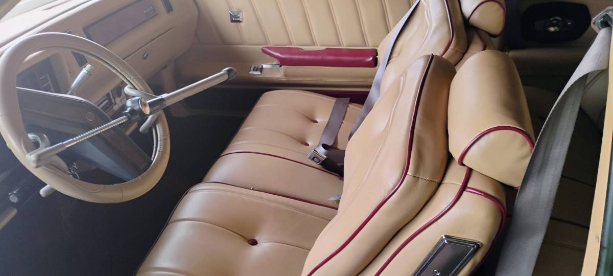 Buick-regal-ls-1981-custom-59