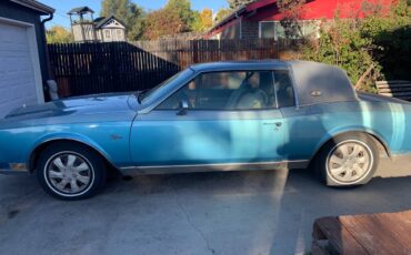 Buick-riviera-1979-blue