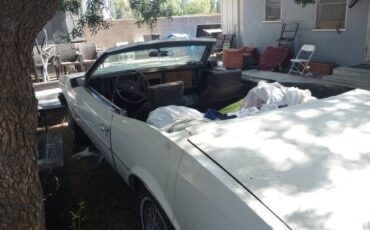 Buick-riviera-1983-3
