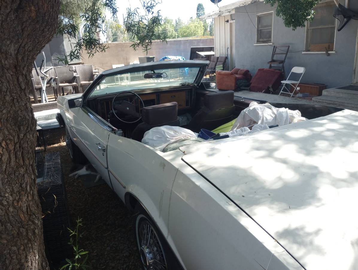 Buick-riviera-1983-3