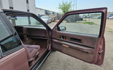 Buick-riviera-1989-brown-18