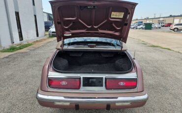 Buick-riviera-1989-brown-4