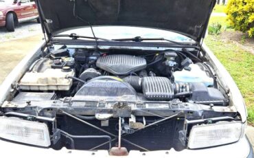Buick-roadmaster-estate-wagon-1994-white-13