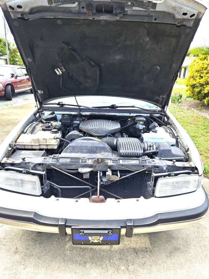 Buick-roadmaster-estate-wagon-1994-white-13
