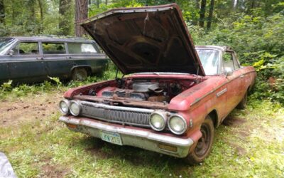 Buick skylark 1963