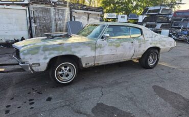 Buick-skylark-1970-green-14